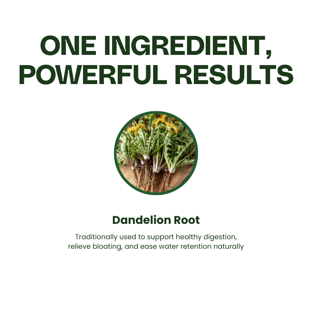 Dandelion Root Drops®